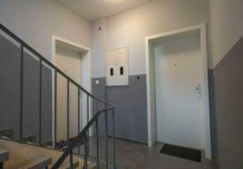 481509-Vorschaubild3