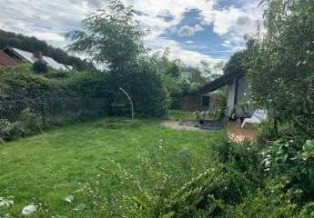 473443-Vorschaubild2