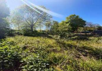 Baugrundstück in Willich Neersen naturhahe Lage an der Niers mit Potenzial