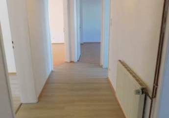 492505-Vorschaubild2
