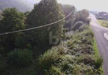 416931-Vorschaubild2
