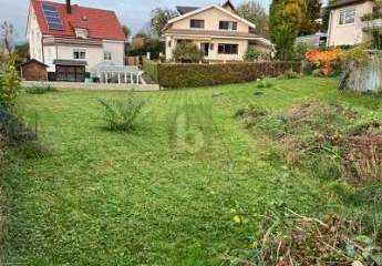416640-Vorschaubild3