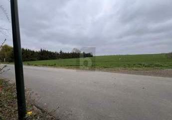 416957-Vorschaubild2