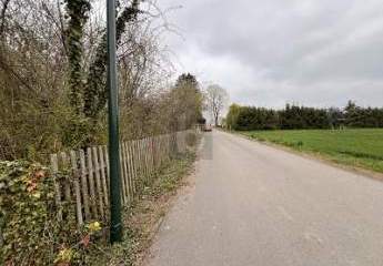 416957-Vorschaubild3