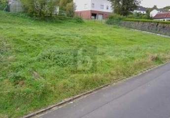 416971-Vorschaubild4