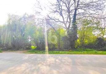 415662-Vorschaubild2