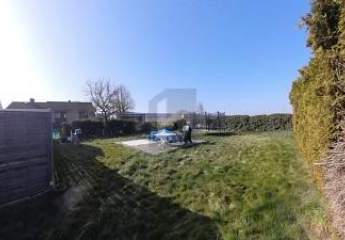 416156-Vorschaubild2