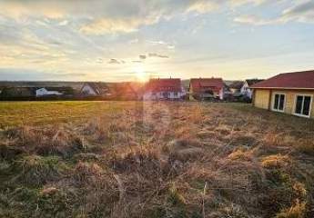 TRAUMSONNEUNTEGÄNGE IN RUHIGER LAGE