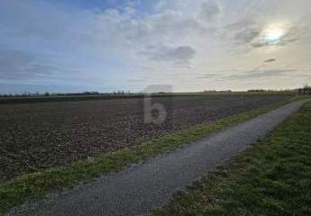 417141-Vorschaubild2