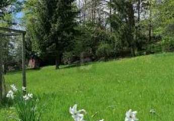 417153-Vorschaubild2