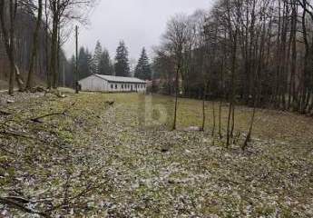 417166-Vorschaubild3