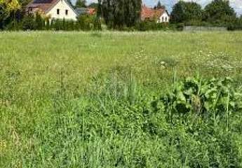 ZWISCHEN NATUR UND STADT  IHR NEUER LEBENSRAUM
