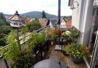 417264-Vorschaubild4