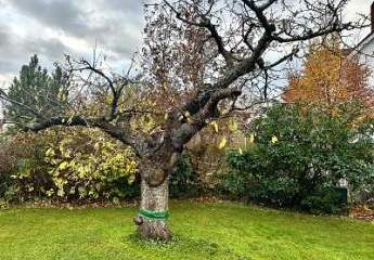 417351-Vorschaubild3