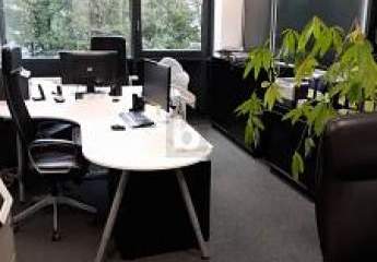 MODERNES 4-ZIMMER-BÜRO ZUM TOP-PREIS
