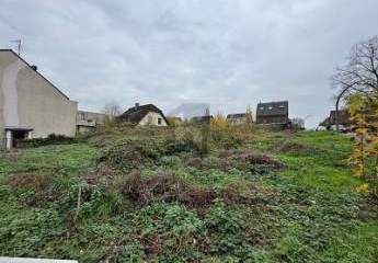 417509-Vorschaubild3