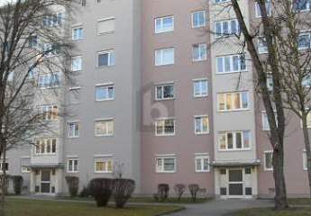 417513-Vorschaubild3