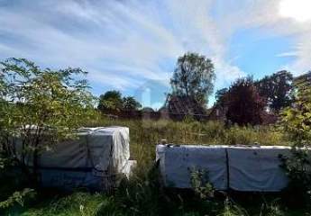 417561-Vorschaubild2