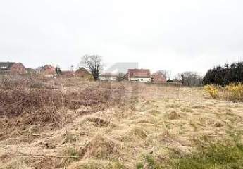 418583-Vorschaubild2