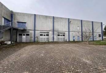 419163-Vorschaubild3
