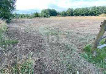419164-Vorschaubild2