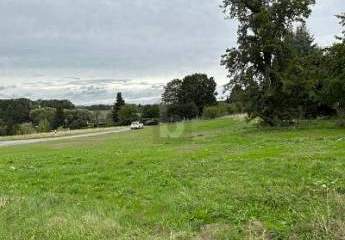 417631-Vorschaubild2