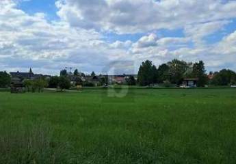 418151-Vorschaubild4