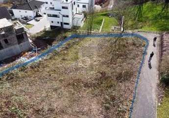 420494-Vorschaubild2