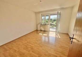 417513-Vorschaubild2