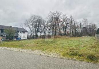421668-Vorschaubild2