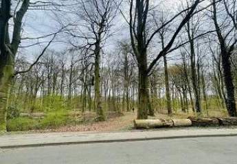 425310-Vorschaubild3