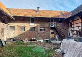 427895-Vorschaubild3