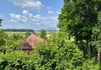 427597-Vorschaubild4