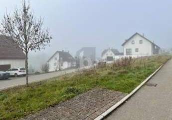 427110-Vorschaubild2