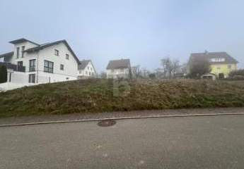 427110-Vorschaubild3