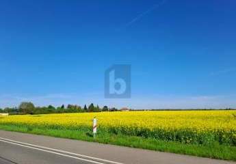 424771-Vorschaubild2