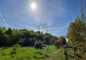 424771-Vorschaubild3