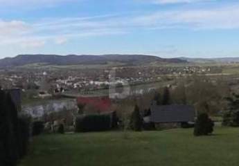 426687-Vorschaubild2