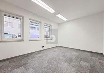 426881-Vorschaubild2