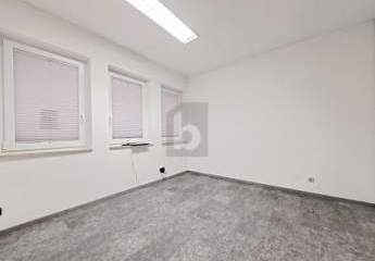 426881-Vorschaubild4