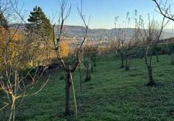 426907-Vorschaubild2