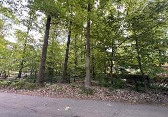 425868-Vorschaubild2