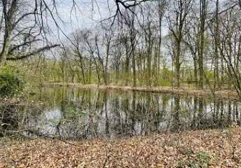 430056-Vorschaubild3