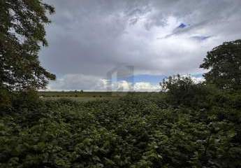 429014-Vorschaubild2