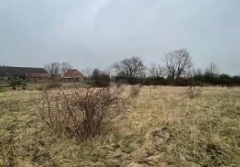 430976-Vorschaubild2