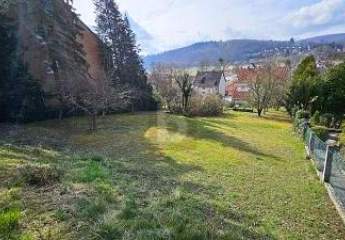 430141-Vorschaubild3