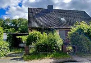 430066-Vorschaubild3