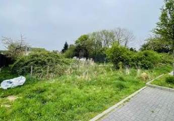 430539-Vorschaubild3