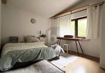 431236-Vorschaubild4