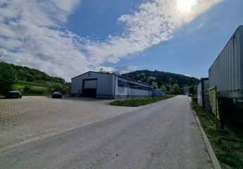 430523-Vorschaubild2
